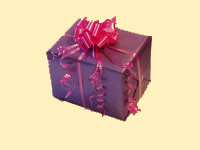 Gift Blue Pink Bow Wrap