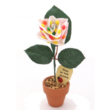 Desk top rose