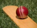 cricket bat