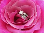 diamond ring in rose diamond ring in rose