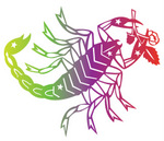 scorpio star sign
