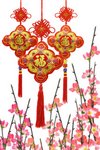 Chinese gift and flowers