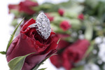 diamond ring and rose