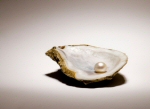pearl in shell