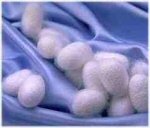 silk balls