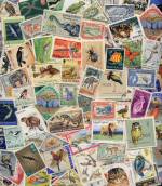 stamp collection